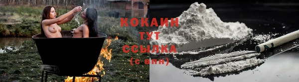 сатива Белокуриха