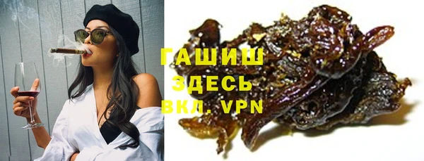 сатива Белокуриха