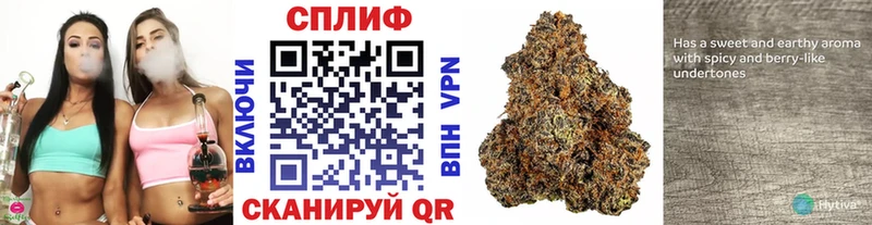 Канабис ГИДРОПОН Дагестанские Огни